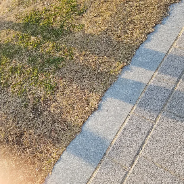 악아