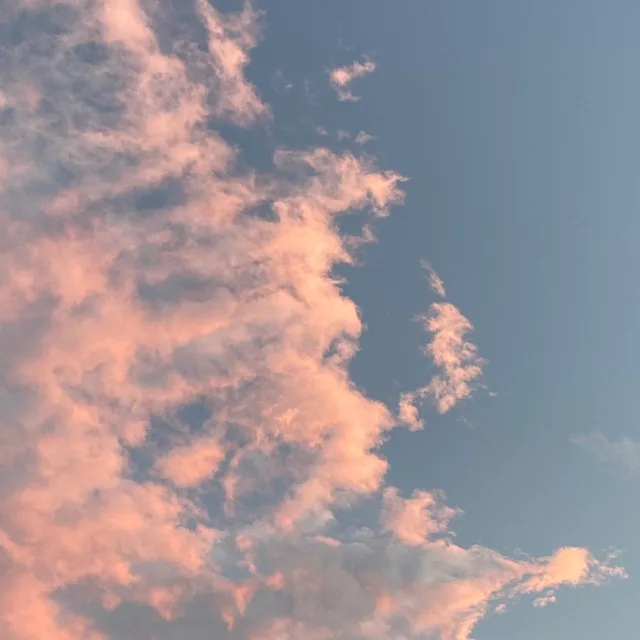 파이팅