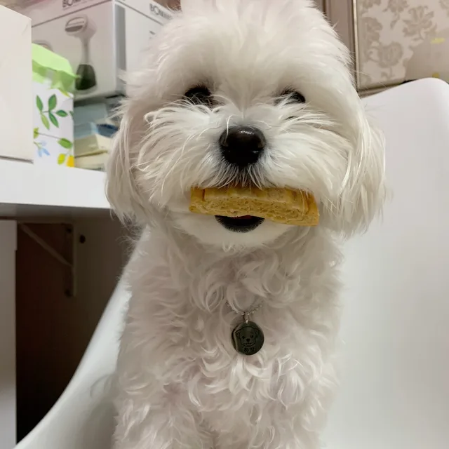 나니시떼루