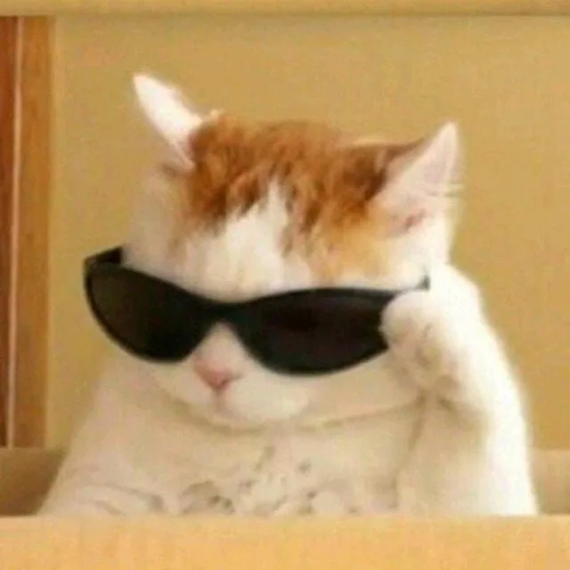 룰루