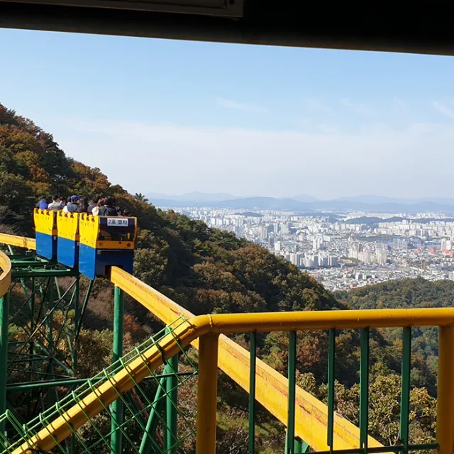 테일러