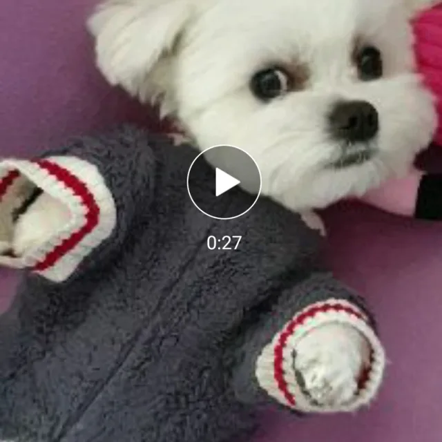 카와이