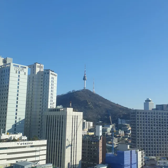 로이맘
