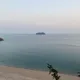 유유