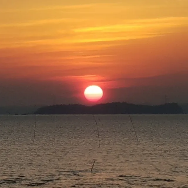 행복한느림보
