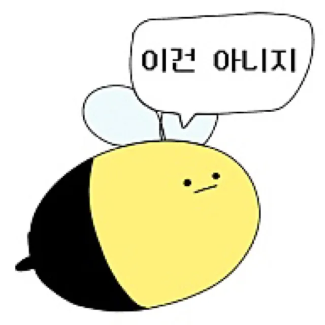 고양이