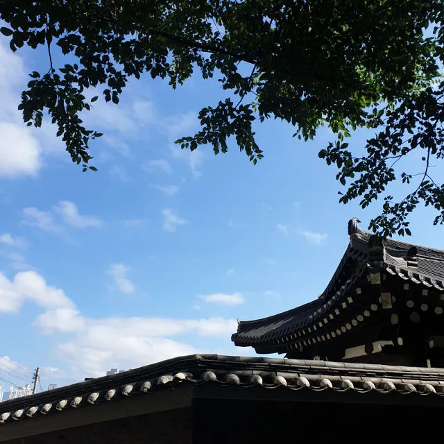 수목