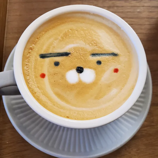 커피콩콩
