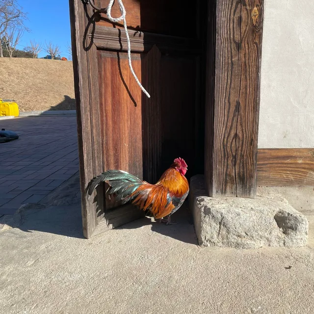 충택