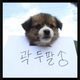 둥이