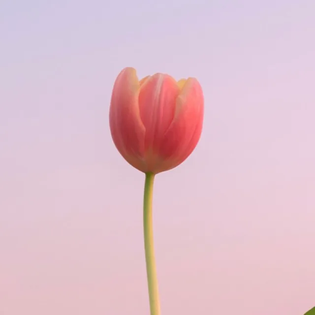 Hh
