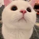 가격문의주세요
