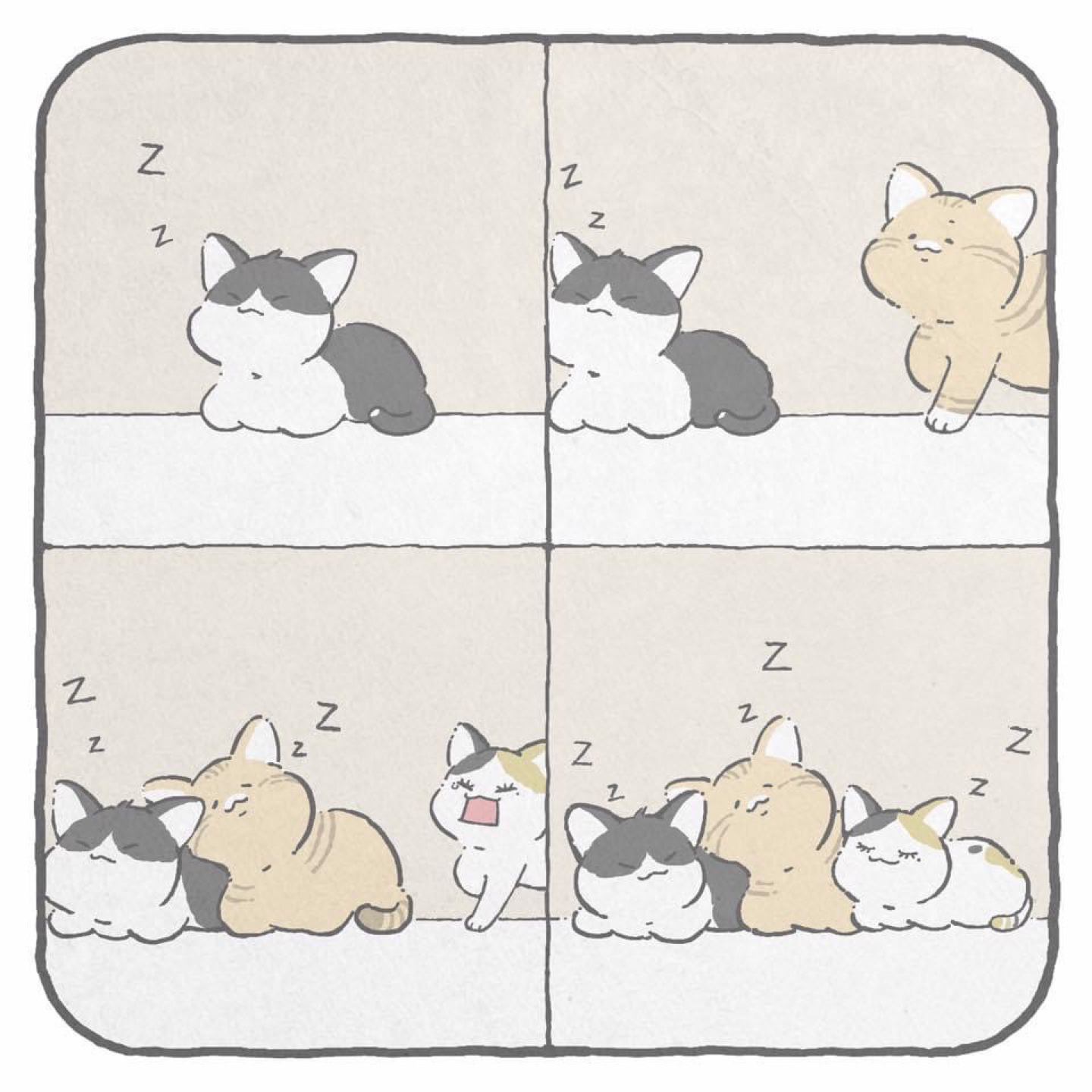 미돍