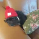곰수니