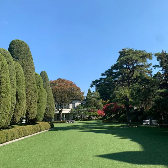 고구마너구리