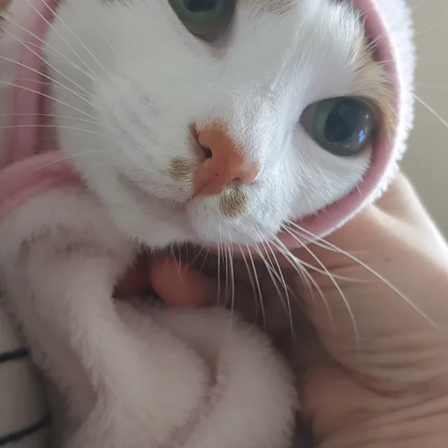 오월맘
