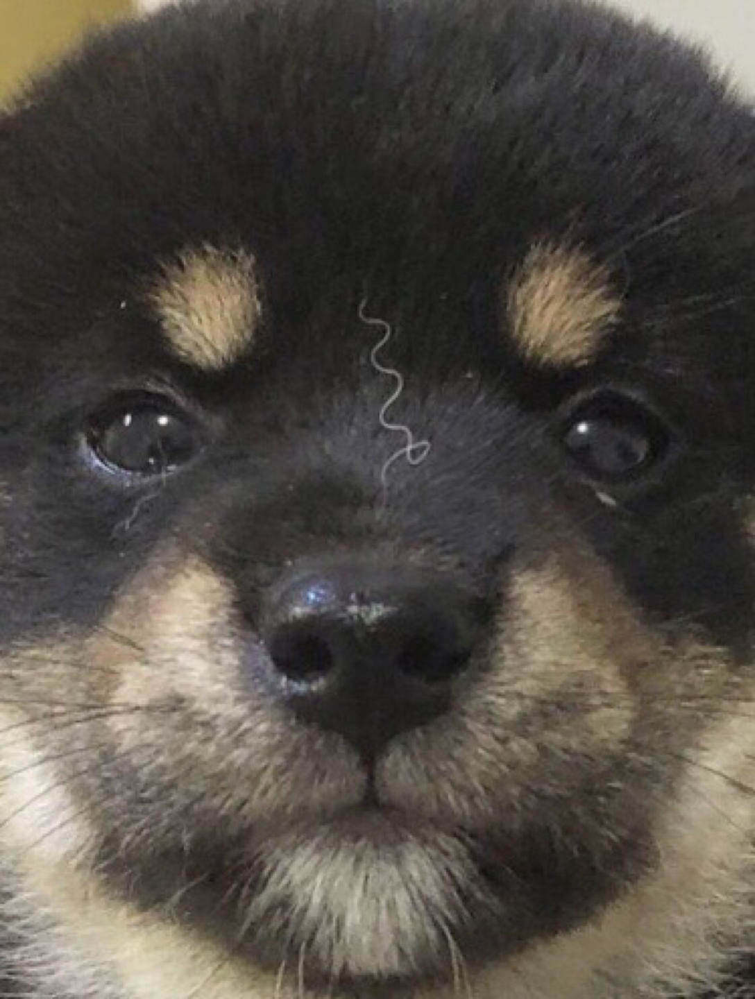 콩이언니