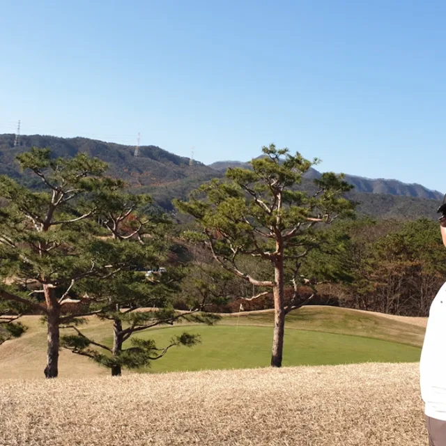 뚱띵붕어