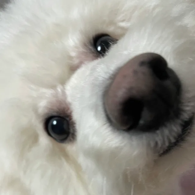 또오오온