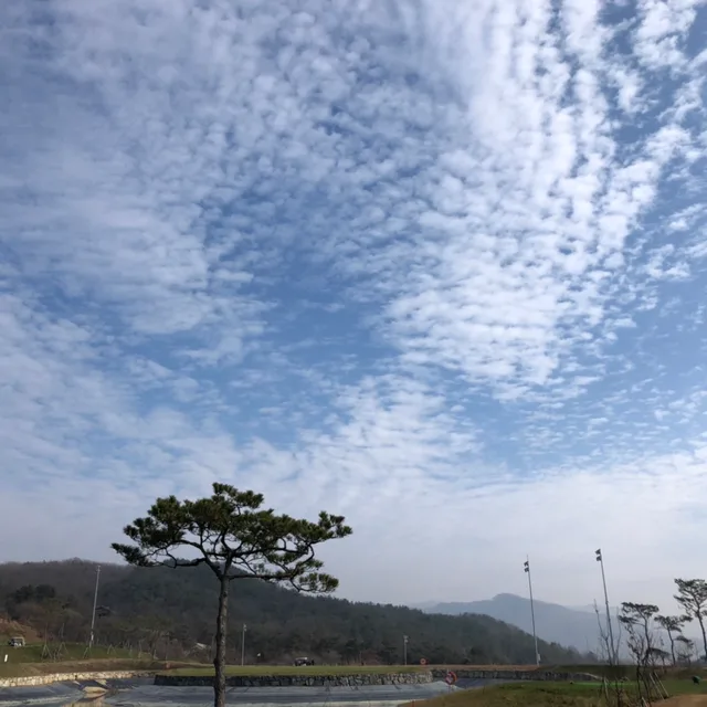SSUN