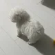 테오