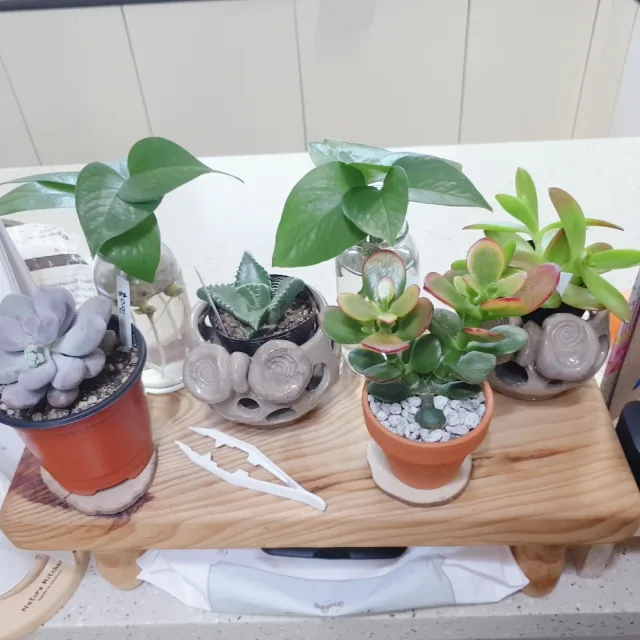 랴후