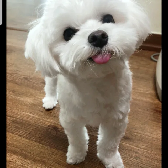 비움실천중