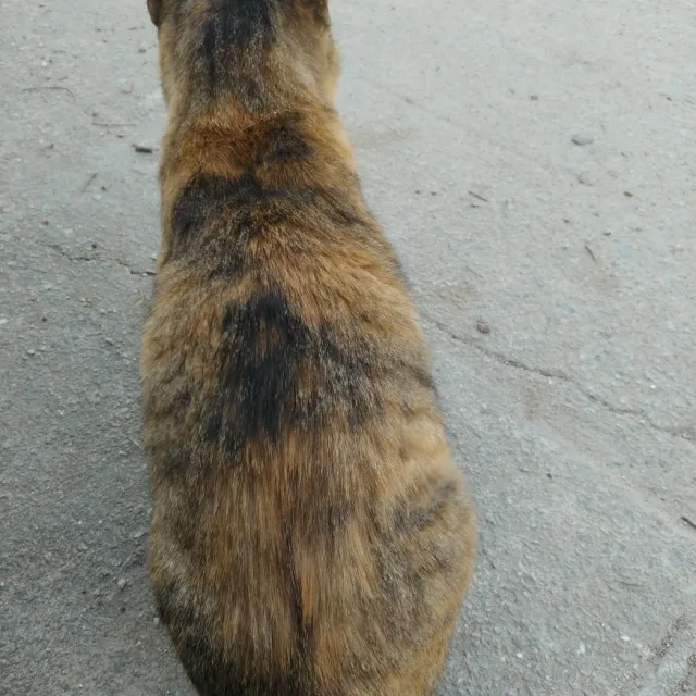 구운삼환