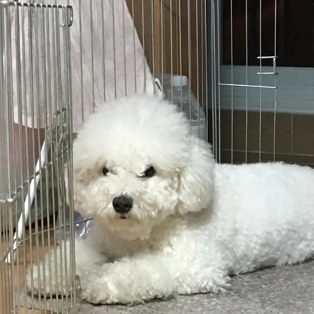 빡모
