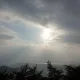 김단이