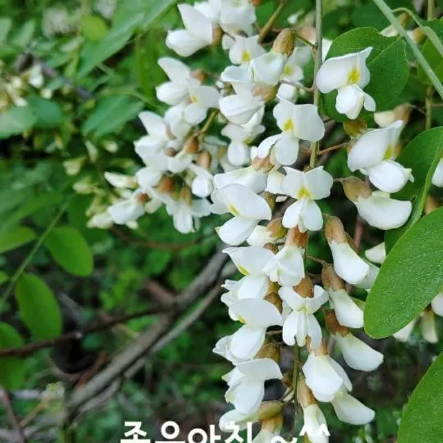 새롭다