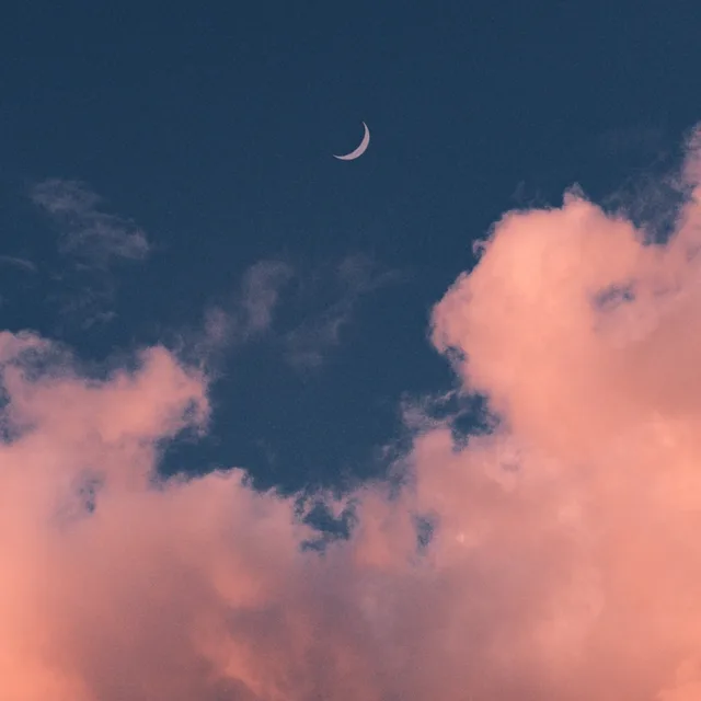 엘리