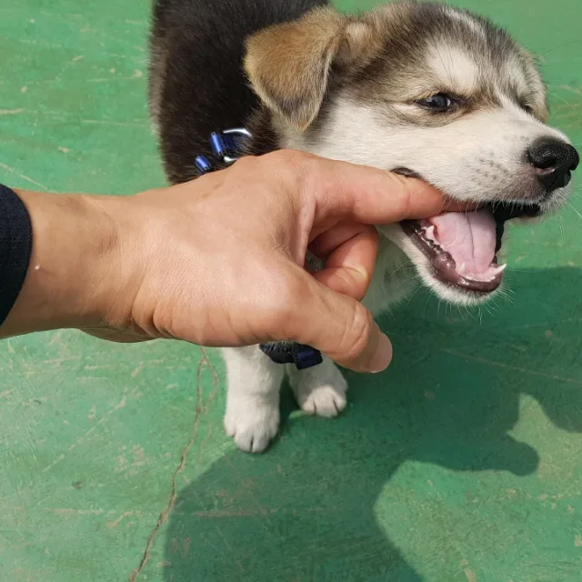 거래를잘하자