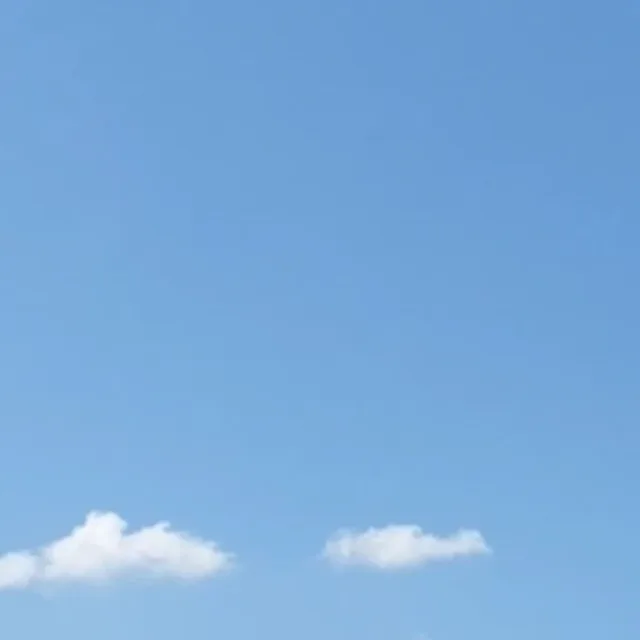 엄마사랑해