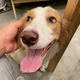 Sammy