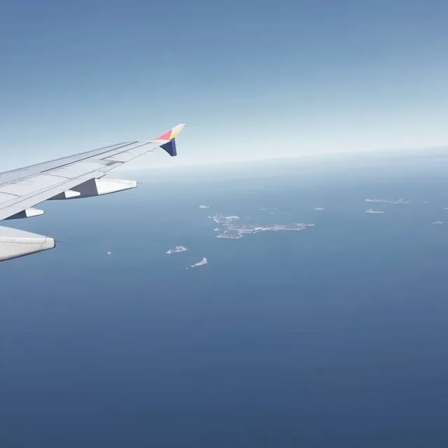 앙큼줌
