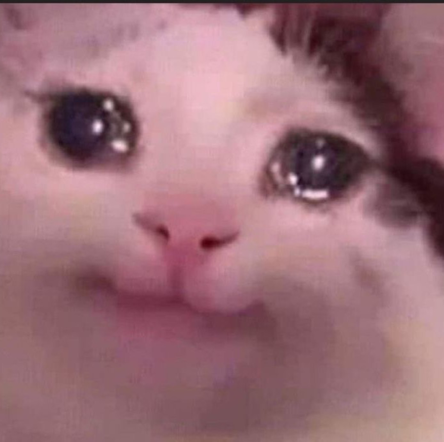 뿌융