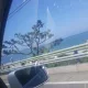 바이올렛