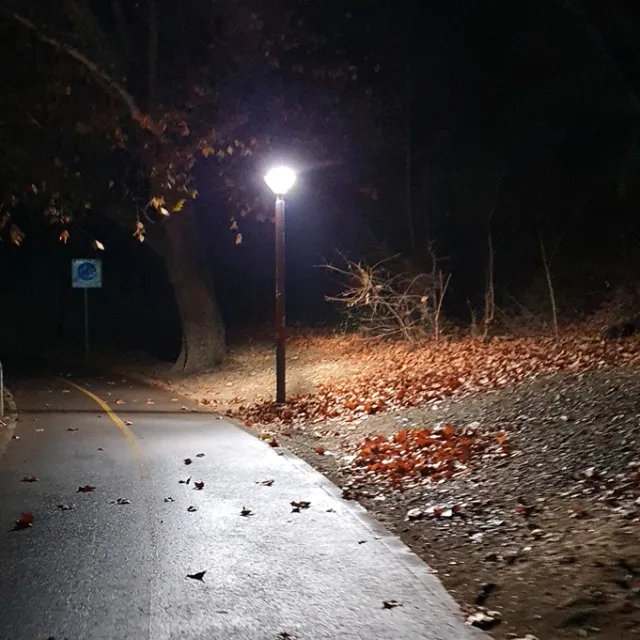 신비한잡화상점
