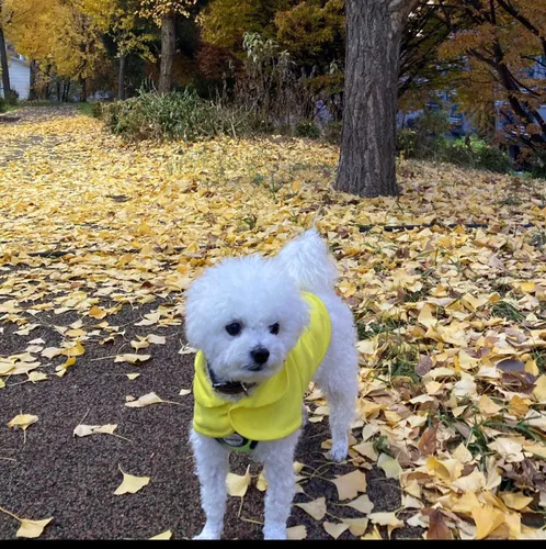 까암짝