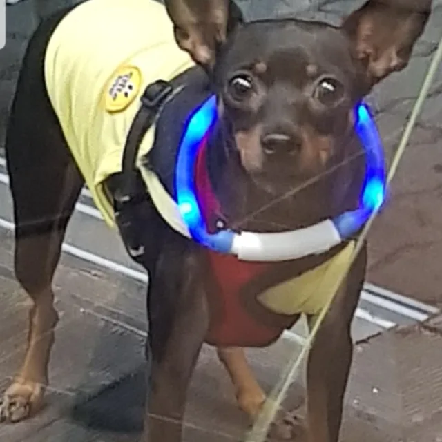 모카쪼꼬맘