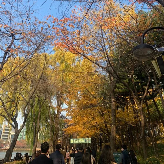 루룰루룰