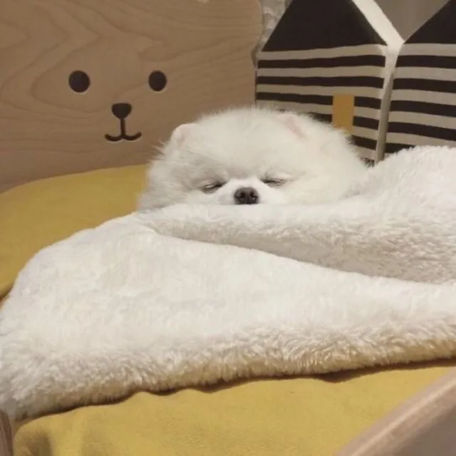 크앙