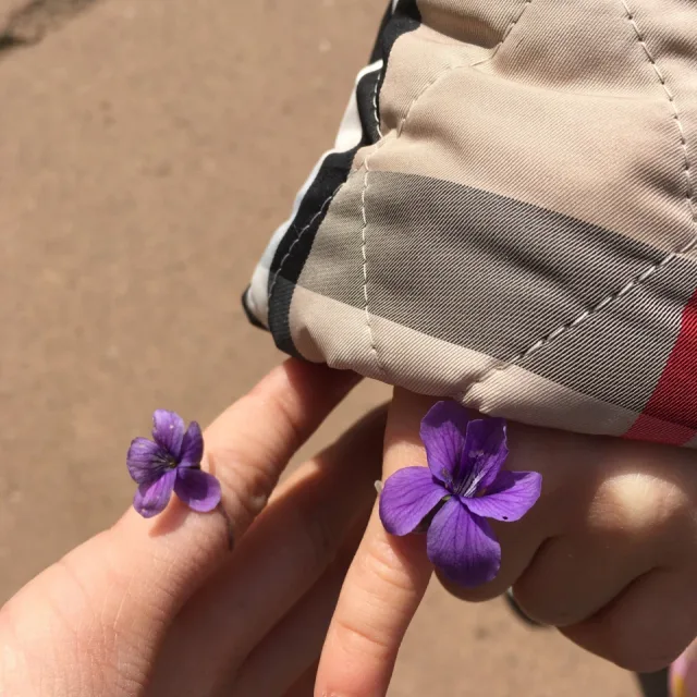 레몽