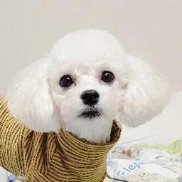 커피당근