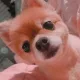 상혀니주민