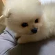 NO부담