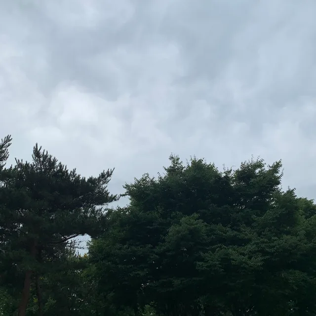 치카치카