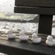 참트루