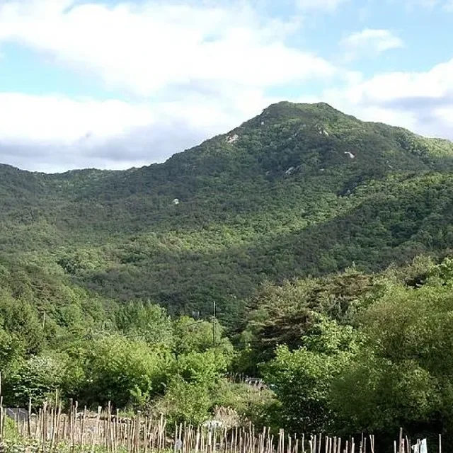 오늘도힘차게